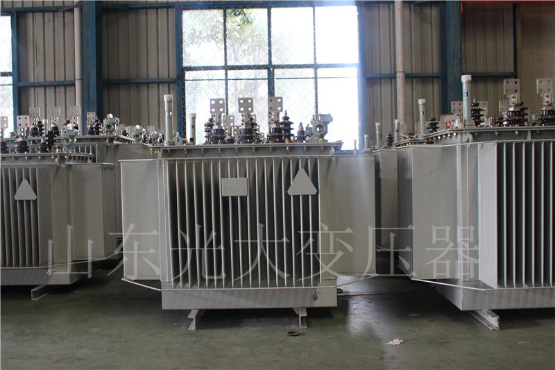 湾里S20-500KVA/10KV